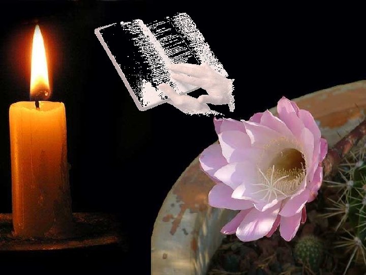 TU PALABRAES LA VIDA Y LA LUZ DE ALGO ENCENDIDO 