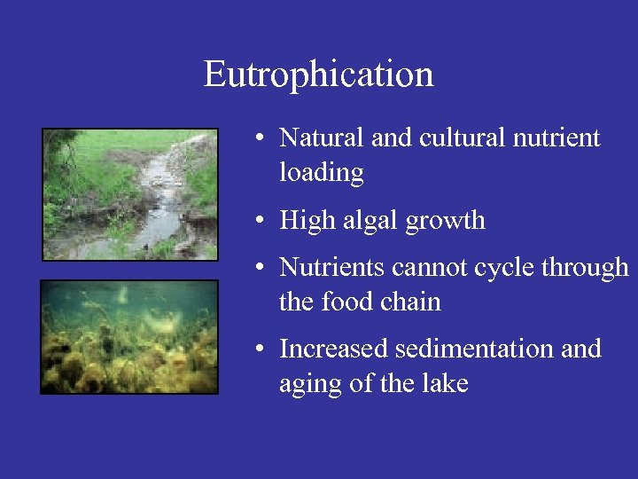 Eutrophication • Natural and cultural nutrient loading • High algal growth • Nutrients cannot