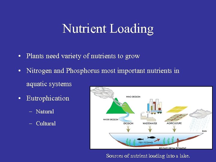 Nutrient Loading • Plants need variety of nutrients to grow • Nitrogen and Phosphorus