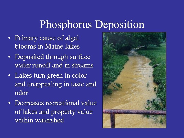 Phosphorus Deposition • Primary cause of algal blooms in Maine lakes • Deposited through