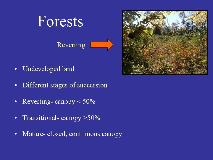Forests Reverting • Undeveloped land • Different stages of succession • Reverting- canopy <