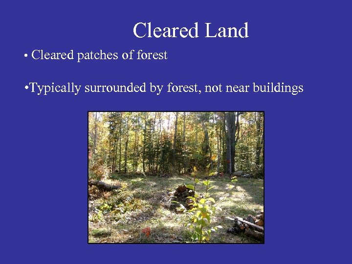 Cleared Land • Cleared patches of forest • Typically surrounded by forest, not near