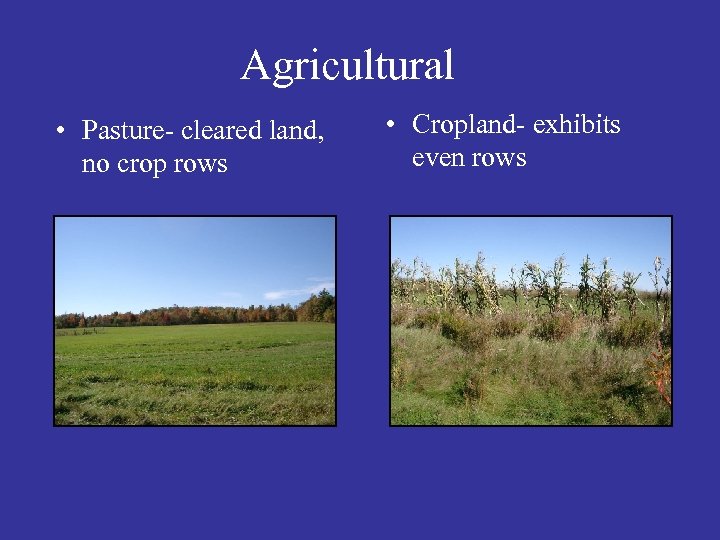 Agricultural • Pasture- cleared land, no crop rows • Cropland- exhibits even rows 