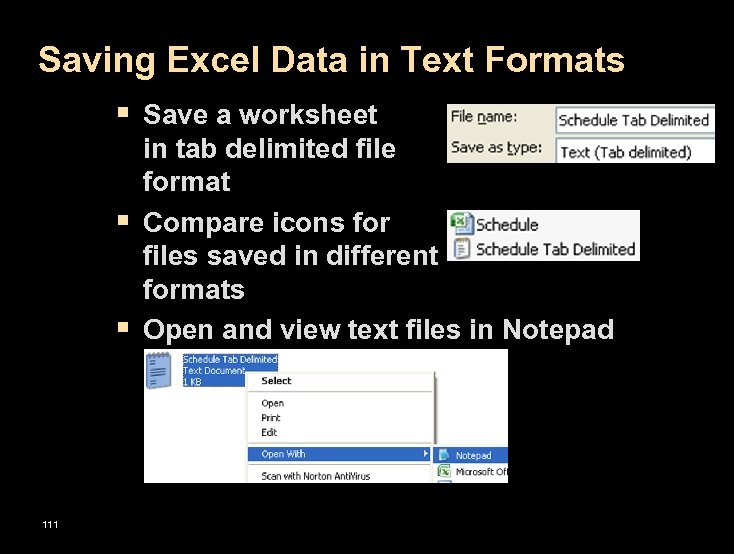 Saving Excel Data in Text Formats § Save a worksheet § § 111 in