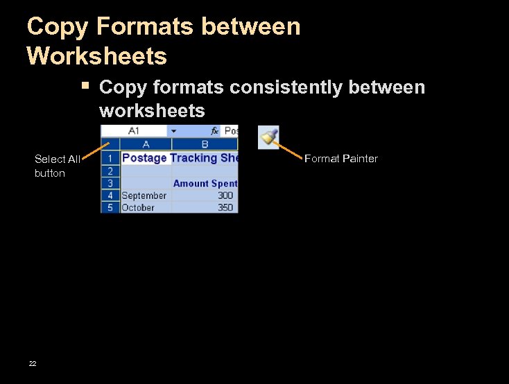 Copy Formats between Worksheets § Copy formats consistently between worksheets Select All button 22