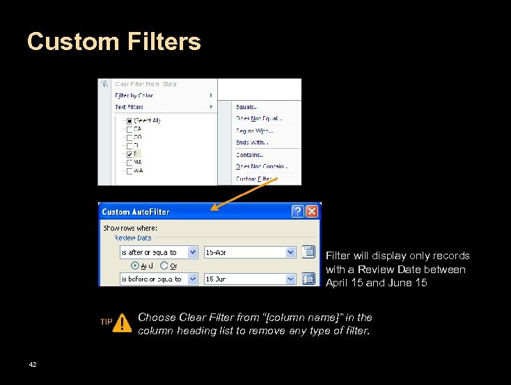Custom Filters Filter will display only records with a Review Date between April 15