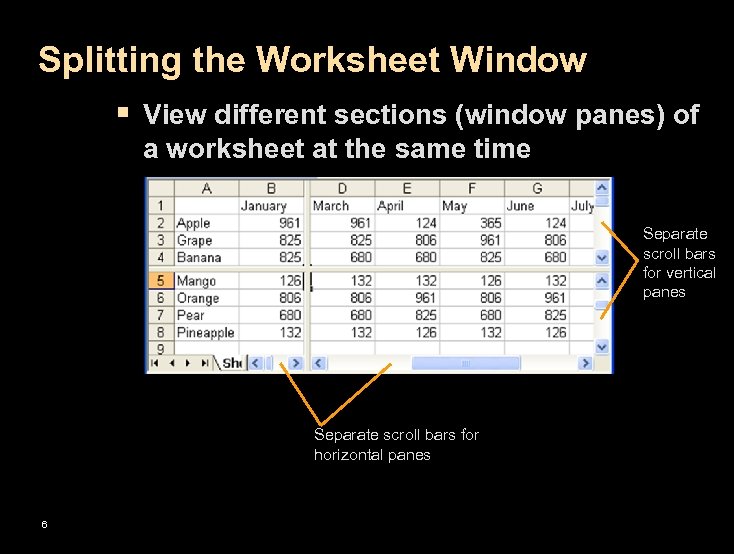 Splitting the Worksheet Window § View different sections (window panes) of a worksheet at