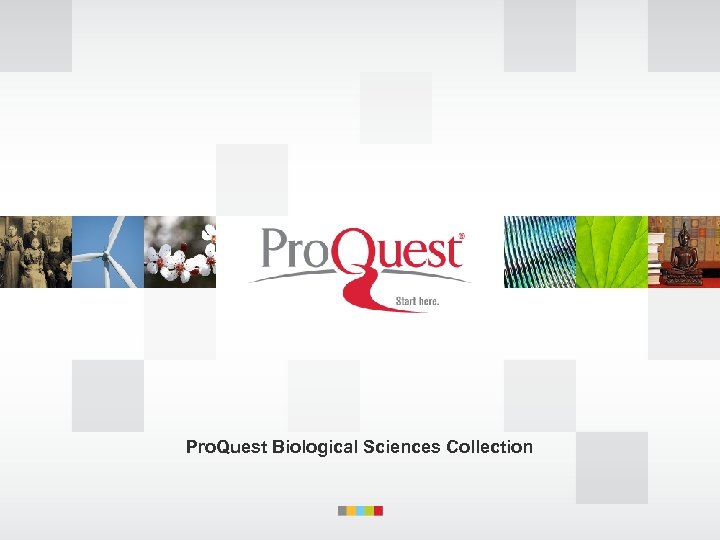 Pro. Quest Biological Sciences Collection 