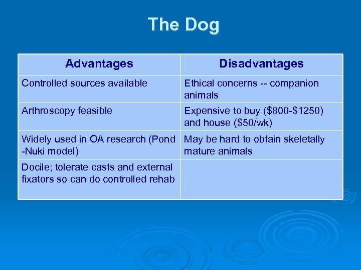 The Dog Advantages Disadvantages Controlled sources available Ethical concerns -- companion animals Arthroscopy feasible