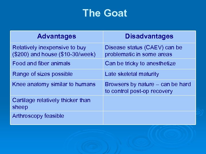 The Goat Advantages Disadvantages Relatively inexpensive to buy ($200) and house ($10 -30/week) Disease