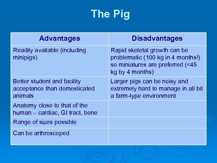 The Pig Advantages Disadvantages Readily available (including minipigs) Rapid skeletal growth can be problematic