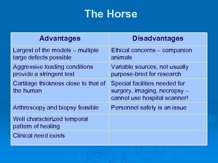 The Horse Advantages Disadvantages Largest of the models – multiple large defects possible Ethical