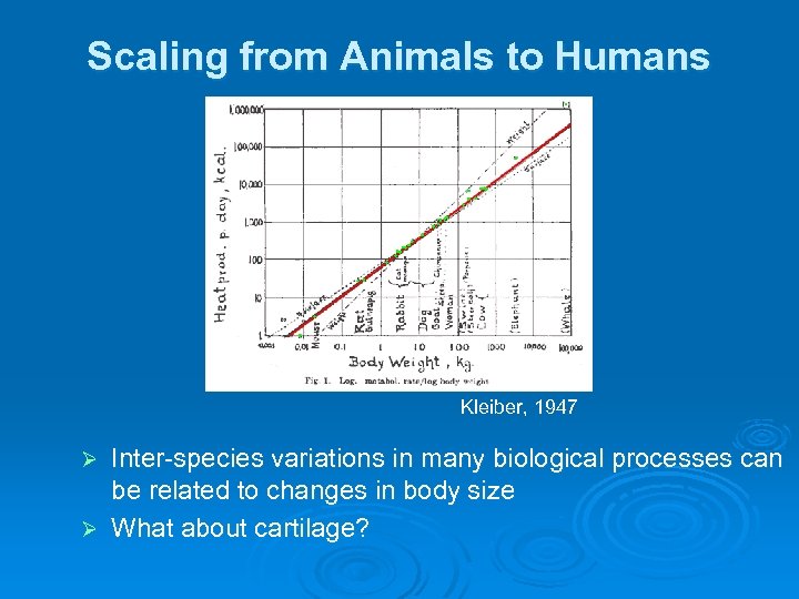 Scaling from Animals to Humans Kleiber, 1947 Inter-species variations in many biological processes can