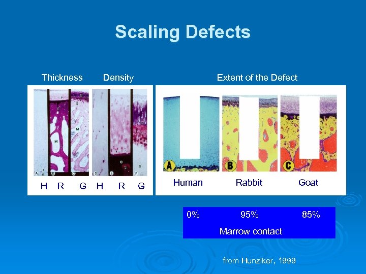 Scaling Defects Thickness H R G Density H R Extent of the Defect G