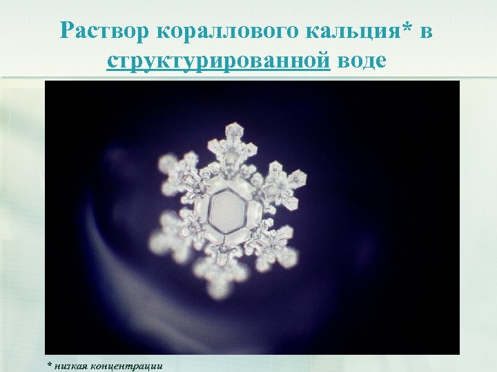 Раствор кораллового кальция* в структурированной воде * низкая концентрации 