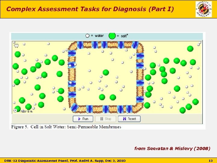 Complex Assessment Tasks for Diagnosis (Part I) from Seeratan & Mislevy (2008) DRK-12 Diagnostic