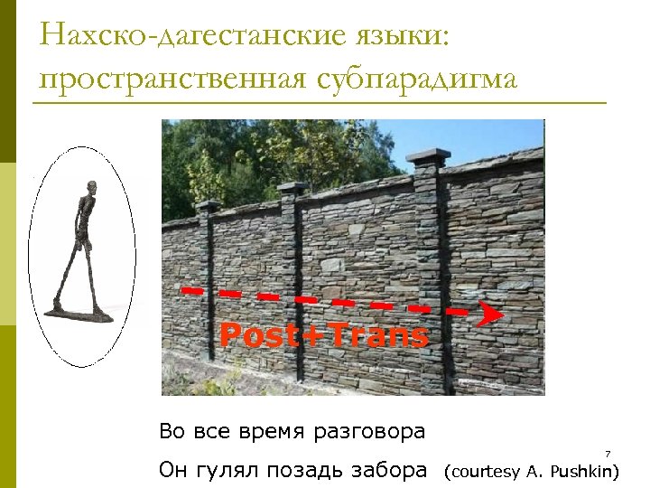 Нахско-дагестанские языки: пространственная субпарадигма Post+Trans Во все время разговора Он гулял позадь забора 7