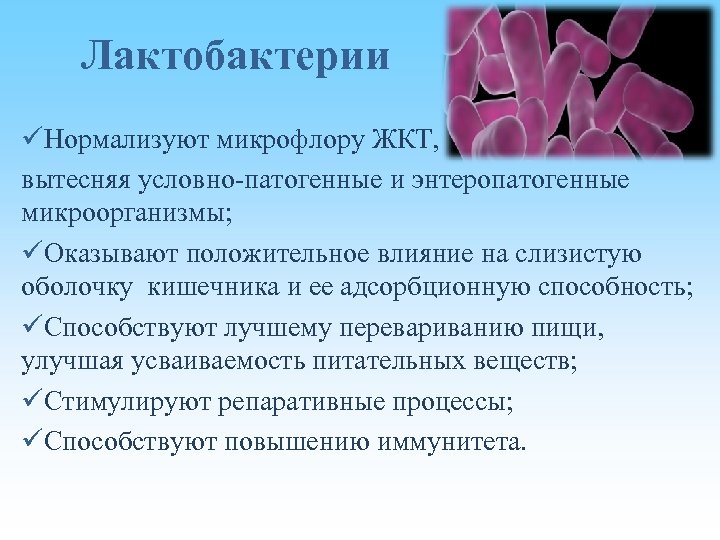 Лактобактерии üНормализуют микрофлору ЖКТ, вытесняя условно-патогенные и энтеропатогенные микроорганизмы; üОказывают положительное влияние на слизистую