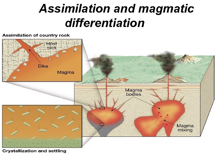 Assimilation and magmatic differentiation 