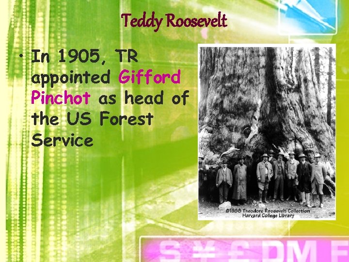 Teddy Roosevelt • In 1905, TR appointed Gifford Pinchot as head of the US