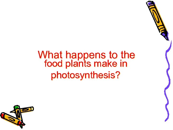 What happens to the food plants make in photosynthesis? 