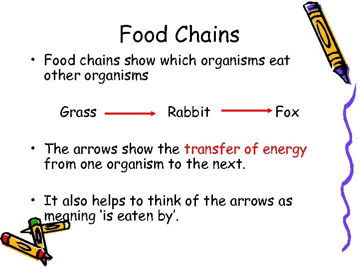 Food Chains • Food chains show which organisms eat other organisms Grass Rabbit Fox