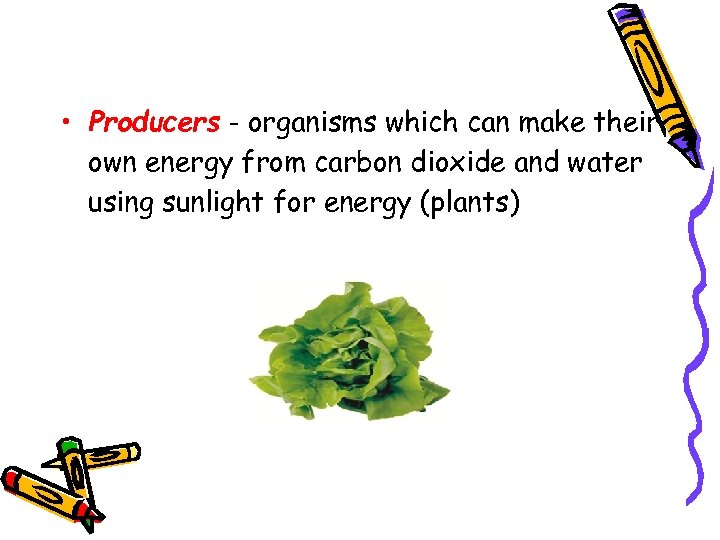  • Producers - organisms which can make their own energy from carbon dioxide