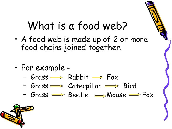 What is a food web? • A food web is made up of 2