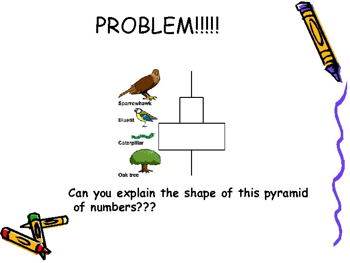 PROBLEM!!!!! Can you explain the shape of this pyramid of numbers? ? ? 