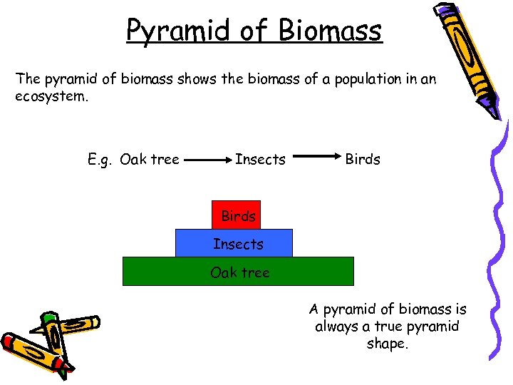 Pyramid of Biomass The pyramid of biomass shows the biomass of a population in