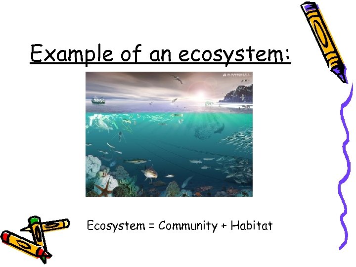 Example of an ecosystem: Ecosystem = Community + Habitat 