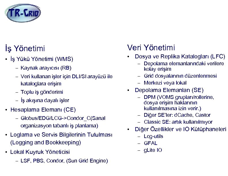 g. Lite Grid Servisleri İş Yönetimi Veri Yönetimi • İş Yükü Yönetimi (WMS) •