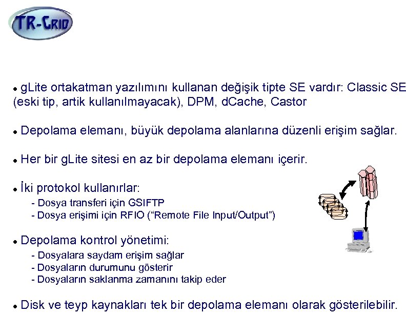Depolama Elemanı (SE) g. Lite ortakatman yazılımını kullanan değişik tipte SE vardır: Classic SE