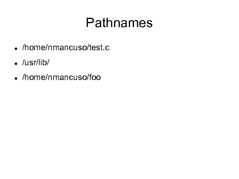 Pathnames /home/nmancuso/test. c /usr/lib/ /home/nmancuso/foo 