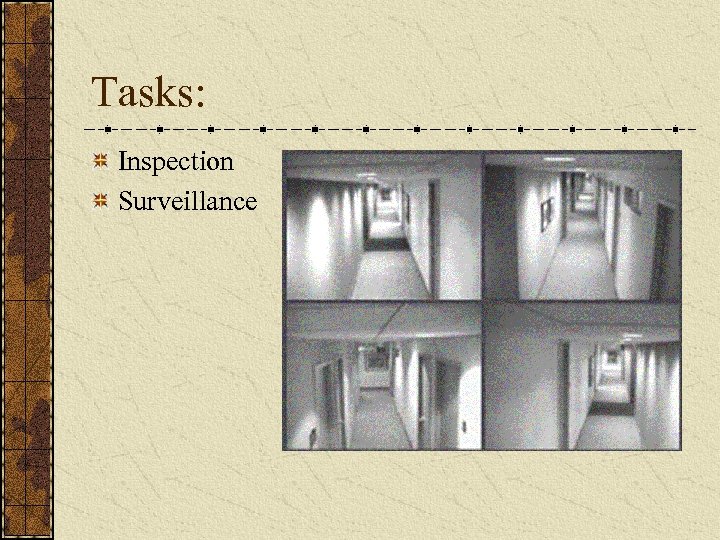Tasks: Inspection Surveillance 