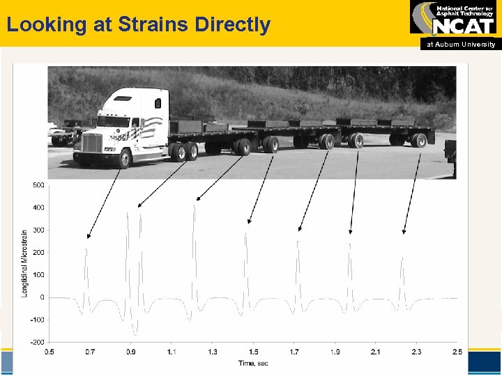 Looking at Strains Directly at Auburn University Strain Response 