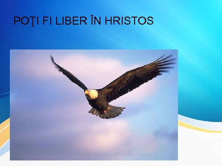 POŢI FI LIBER ÎN HRISTOS 