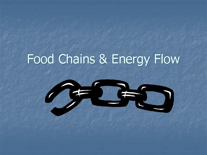 Food Chains & Energy Flow 