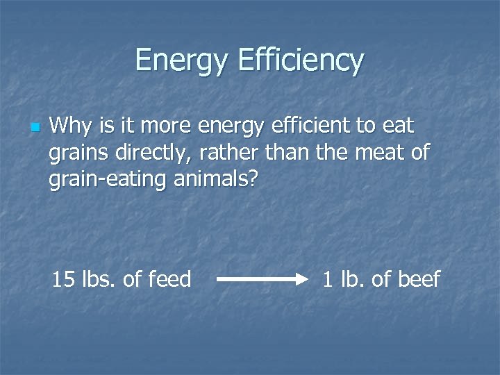 Energy Efficiency n Why is it more energy efficient to eat grains directly, rather