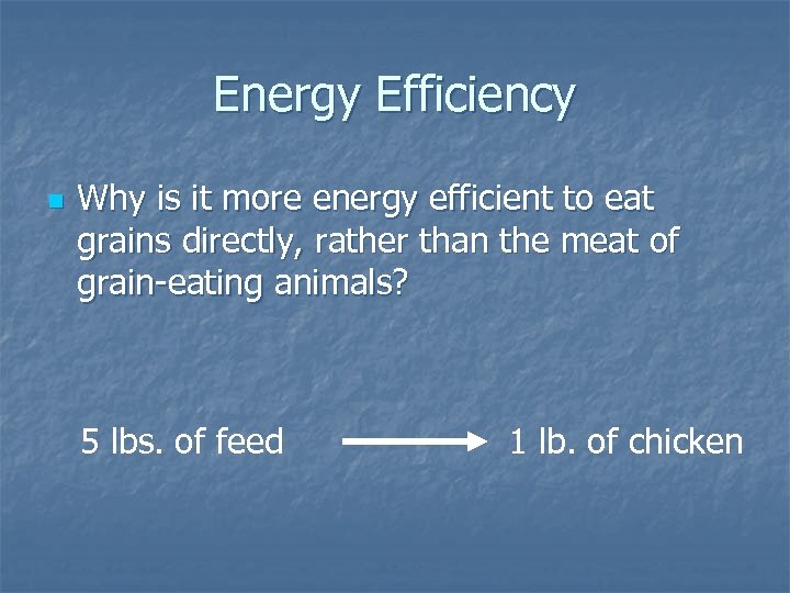 Energy Efficiency n Why is it more energy efficient to eat grains directly, rather