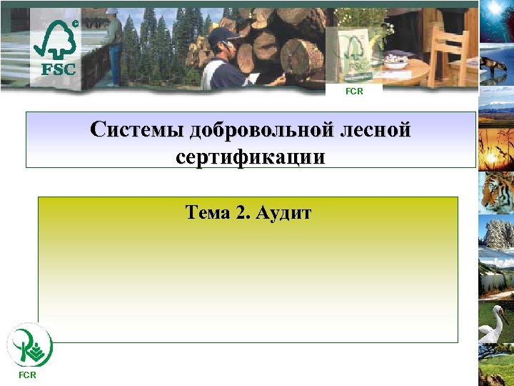 FCR Системы добровольной лесной сертификации Тема 2. Аудит FCR 