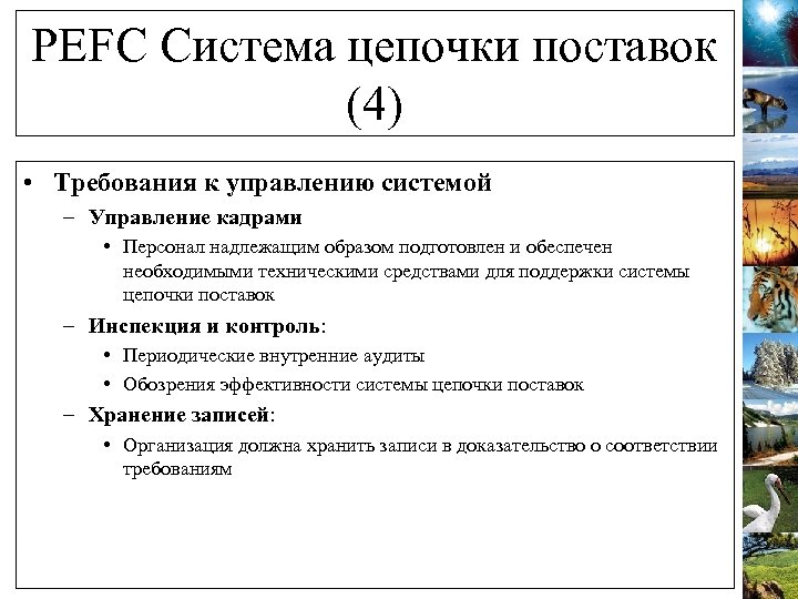 PEFC Система цепочки поставок (4) • Требования к управлению системой – Управление кадрами •