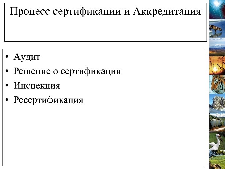 Процесс сертификации и Аккредитация • • Аудит Решение о сертификации Инспекция Ресертификация 