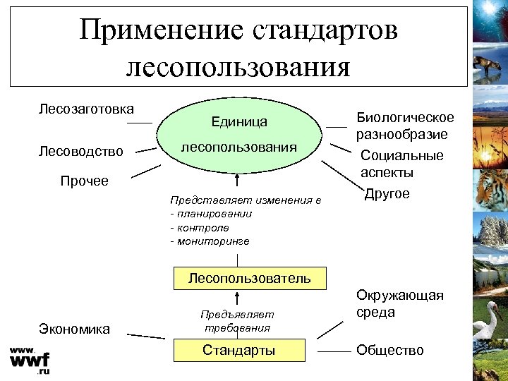 Применение стандартов лесопользования Лесозаготовка Лесоводство Единица лесопользования Прочее Представляет изменения в - планировании -