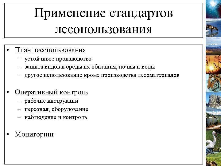 Применение стандартов лесопользования • План лесопользования – устойчивое производство – защита видов и среды