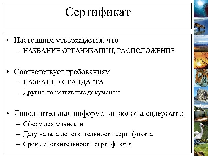 Сертификат • Настоящим утверждается, что – НАЗВАНИЕ ОРГАНИЗАЦИИ, РАСПОЛОЖЕНИЕ • Соответствует требованиям – НАЗВАНИЕ