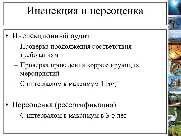 Инспекция и переоценка • Инспекционный аудит – Проверка продолжения соответствия требованиям – Проверка проведения