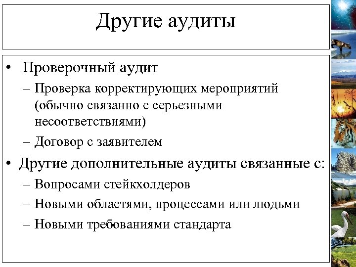Другие аудиты • Проверочный аудит – Проверка корректирующих мероприятий (обычно связанно с серьезными несоответствиями)