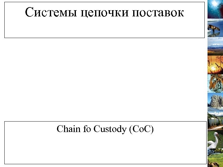 Системы цепочки поставок Chain fo Custody (Co. C) 
