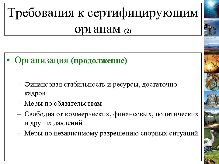 Требования к сертифицирующим органам (2) • Организация (продолжение) – Финансовая стабильность и ресурсы, достаточно